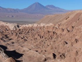 c025-1.jpg
